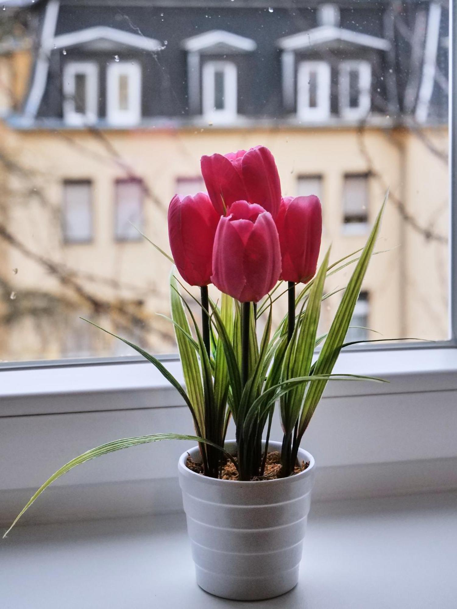 Apartment Schiller Ii - Zentrum